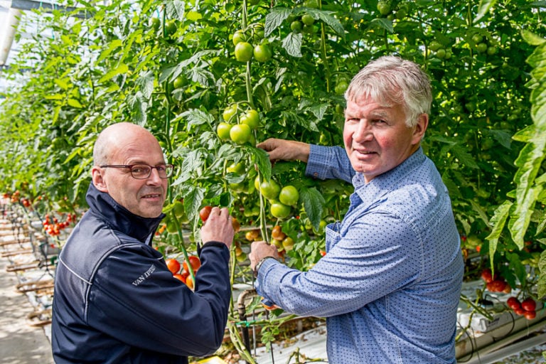 Erik van den Bergh and grower in tomato greenhouse