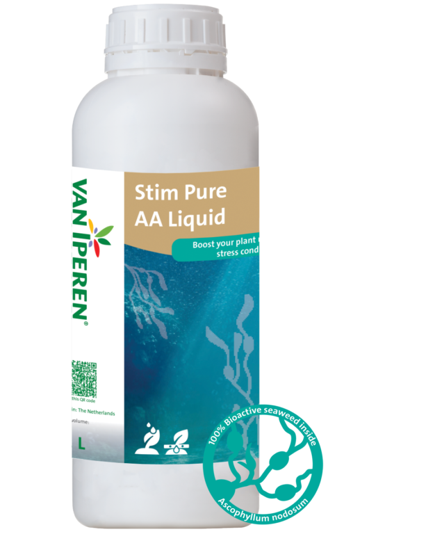 1L bottle of Stim Pure AA Liquid