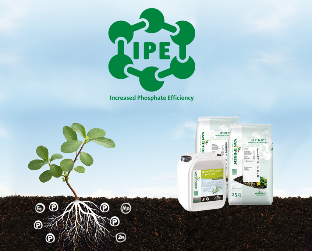 New Ipe® Technology Agronomical Video Available Van Iperen International