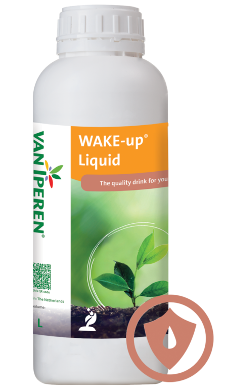 Wake-up Liquid 1L bottle