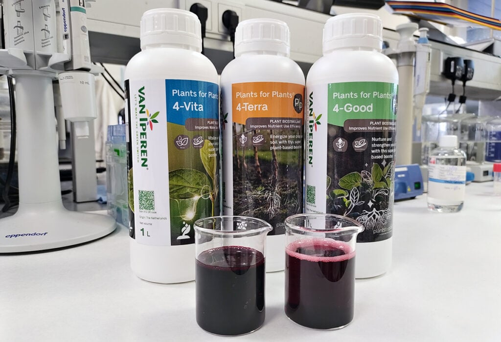 Samples of Plants for Plants 4-Good, 4-Vita, and 4-Terra solutions in the lab
